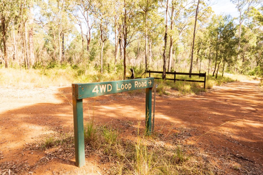 things to do in Blackdown Tablelands