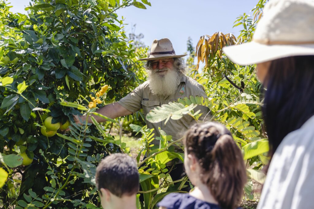 neci high valley dawn beaches resturant astudios march22 2179