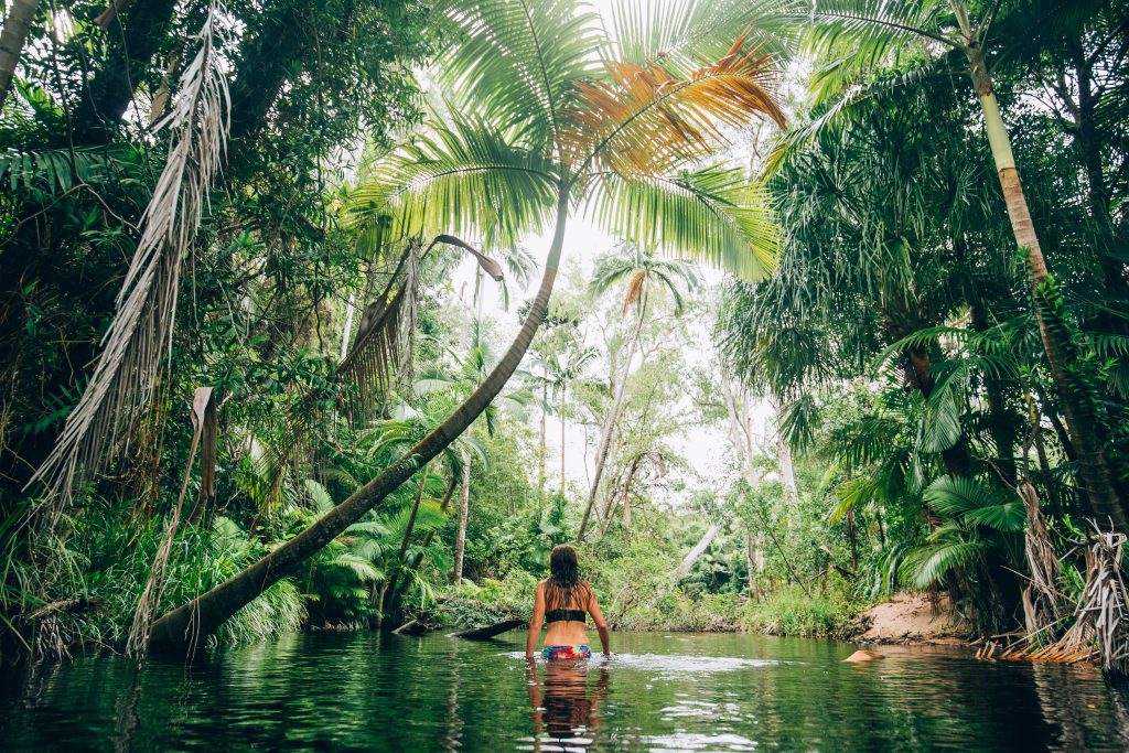 byfield rainforest