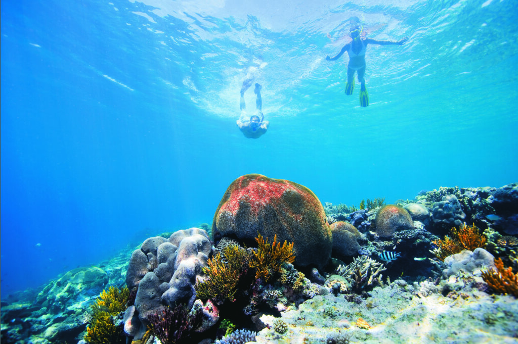snorkellers fitzroy reef lagoon