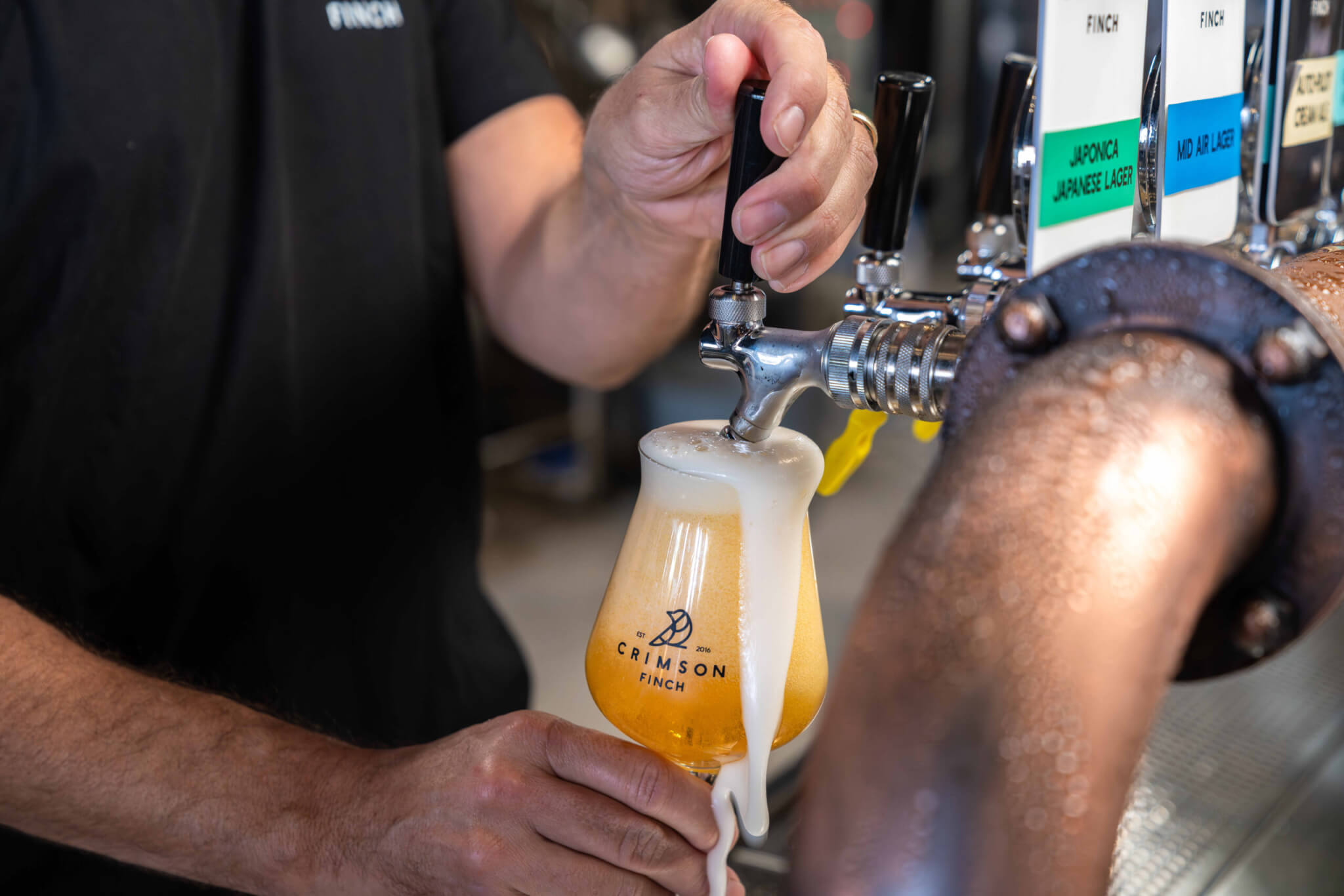 tastecc 12june2024 96