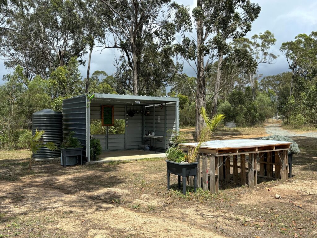 camp kitchen with fresh produce growing