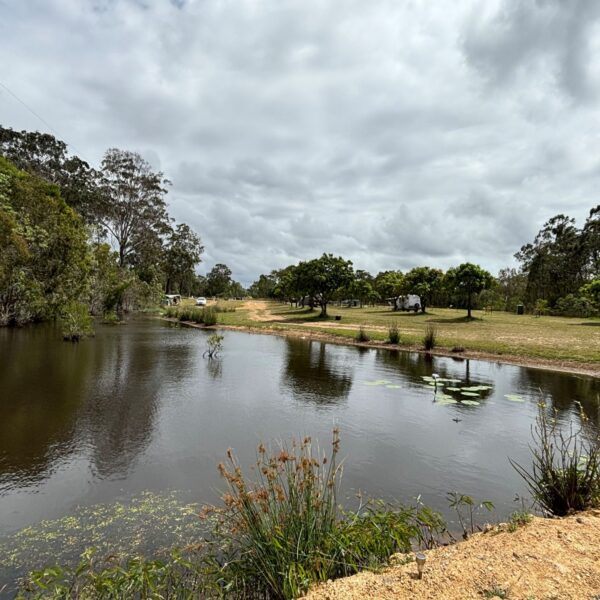 It’s Thyme to getaway to the Capricorn Coast’s newest Farmstay