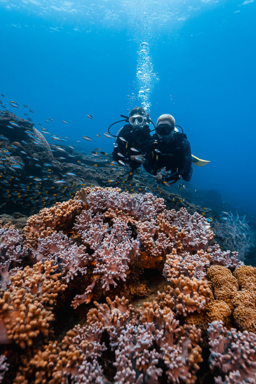 KEPPEL DIVE