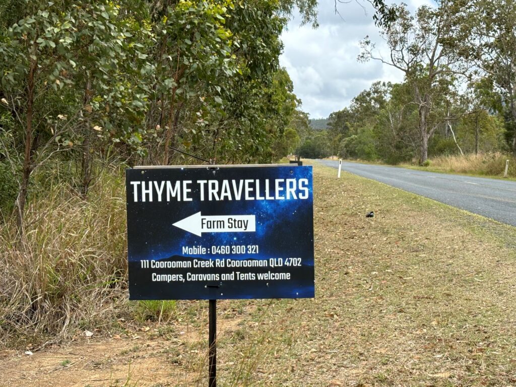 thyme travellers