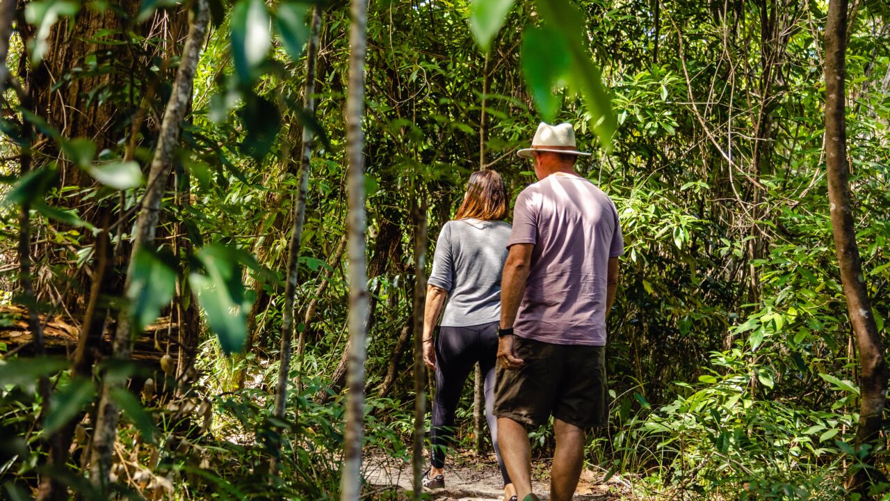 neci fernshideaway astudios march22 6802