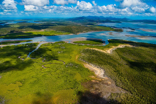 art 17 shoalwater corio bay