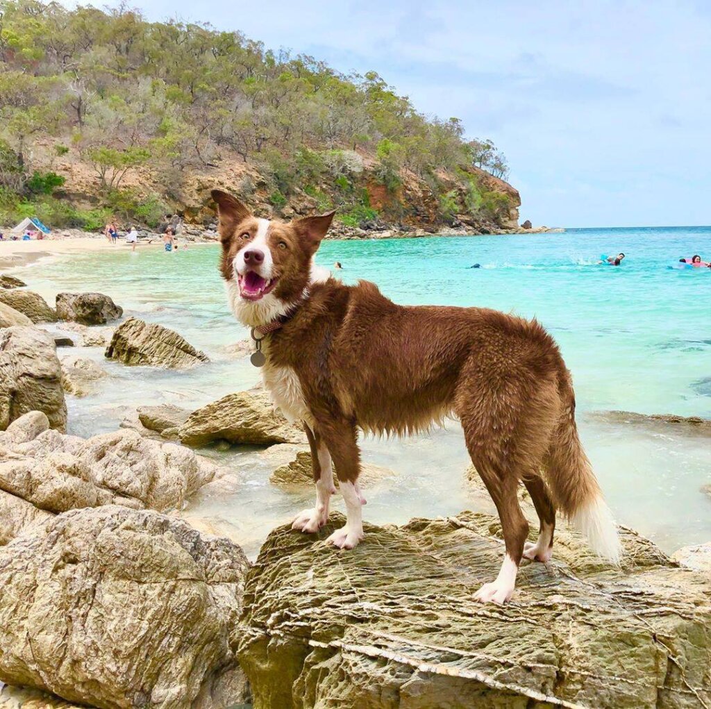 83841015 2284125935217845 3950200933891178496 n