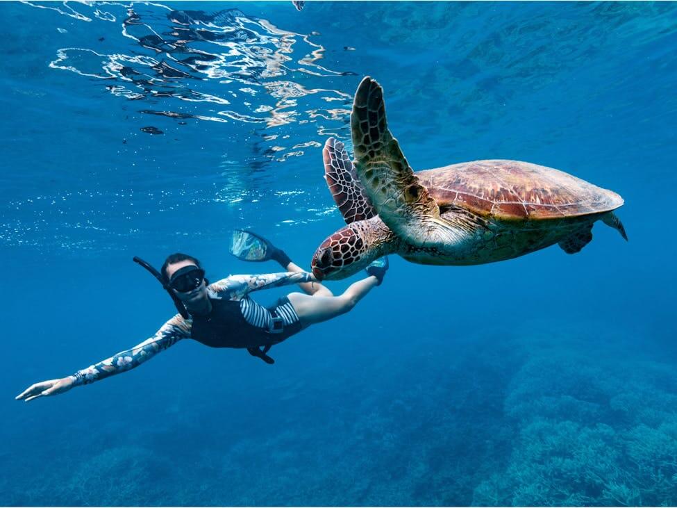 24d7f8267a553129ebe7a50a5ac0bd6b