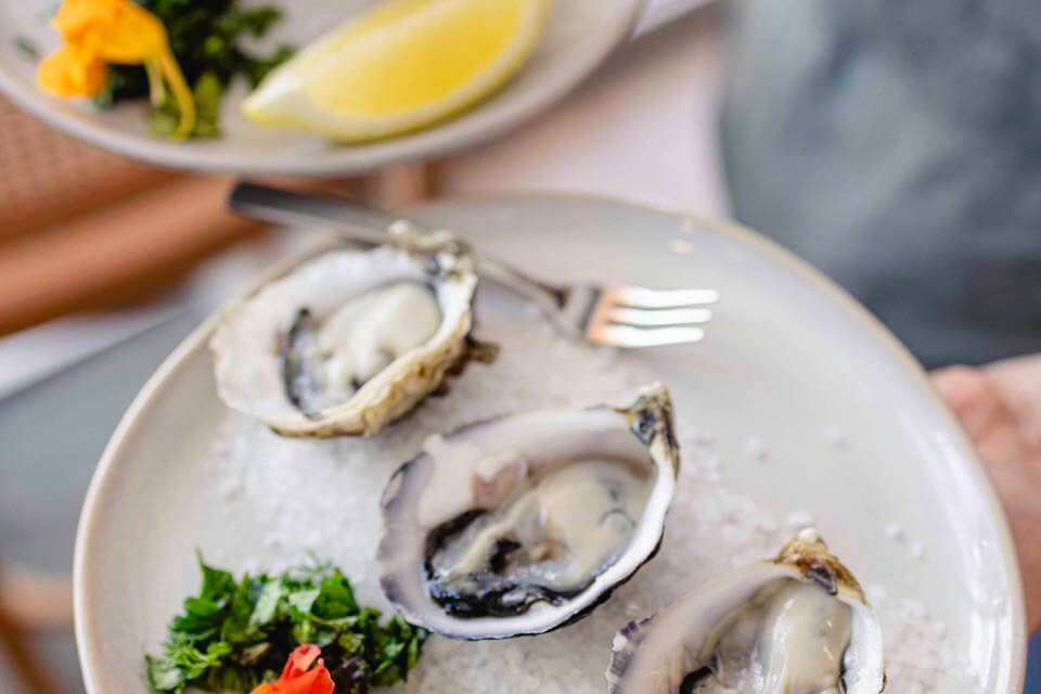 518355552 122177353256355071 6546573662699028121 n