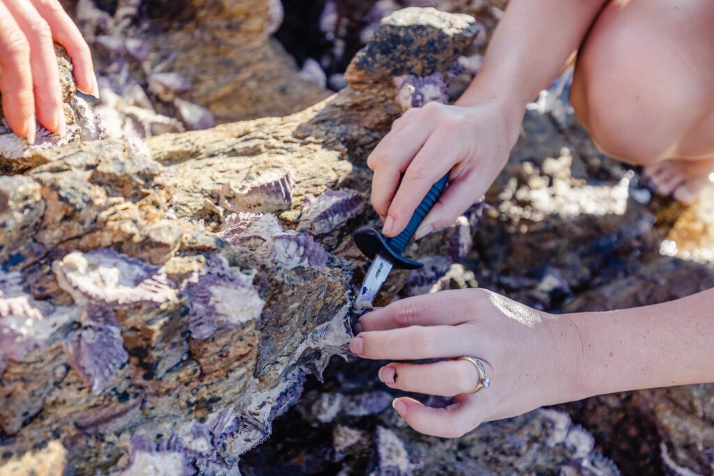 neci pumkinisland astudios june22 0713