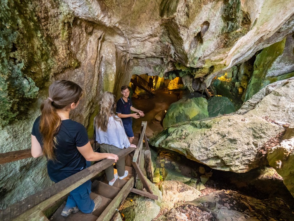 capricorn caves, cathedral tour, caving, tour guide