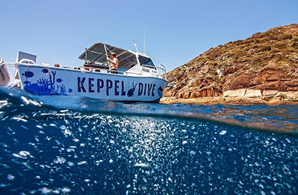 490400206 1268139385050686 4387072732590486137 n