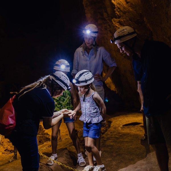 Capricorn Coast Region – A prehistoric playground for young explorers