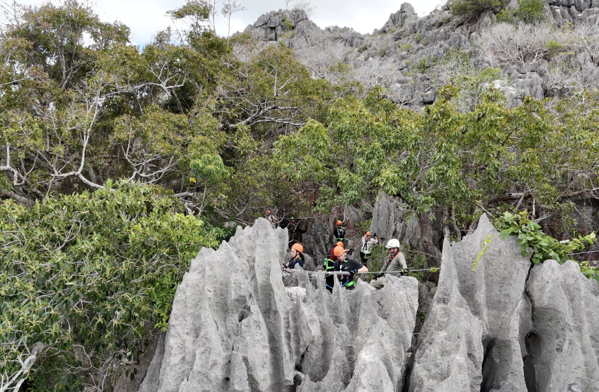 New Karst Walk at Capricorn Caves: Your Next Capricorn Coast Adventure